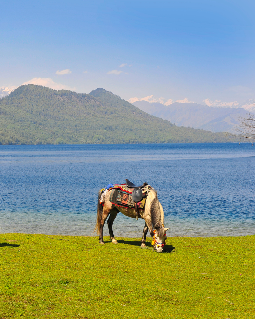 Rara Lake, Nepal tours