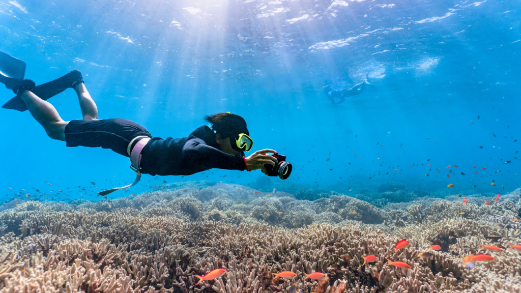 Diving and Snorkeling in Thailand