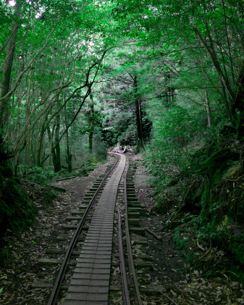Yakushima, Japan tours